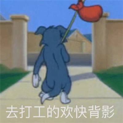 猫和老鼠